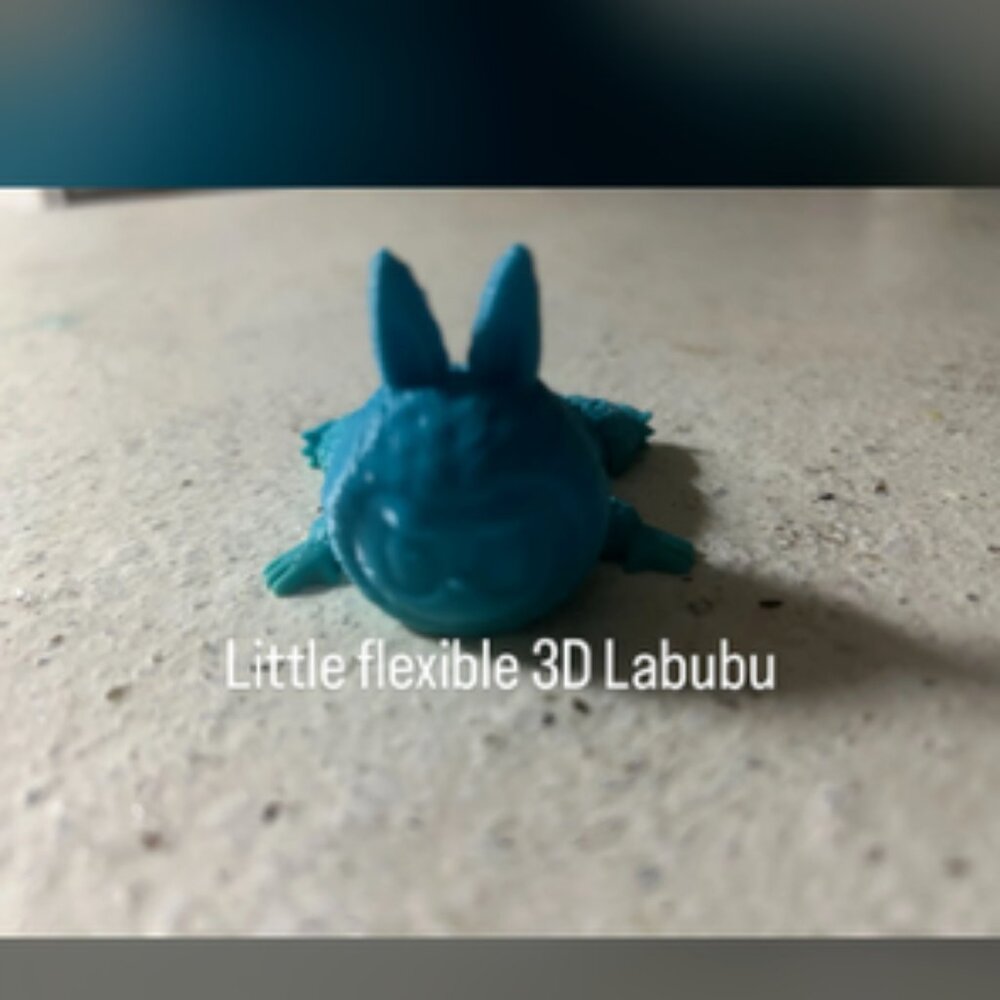 BLACK LABUBU FLEXIBLE 3D PRINT
